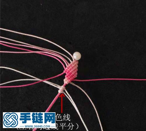 一朵漂亮的花