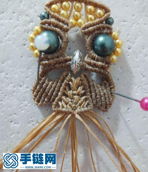 大眼萌萌噠貓頭鷹