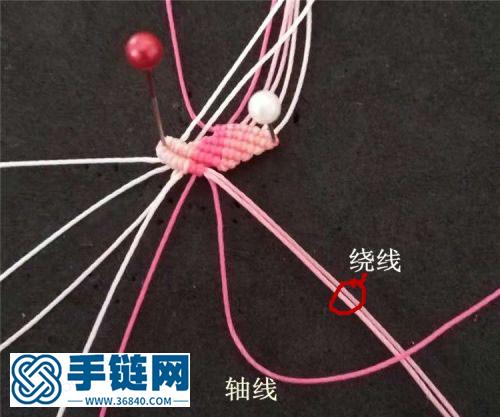 一朵漂亮的花