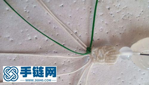 白菜扣頭（百財）