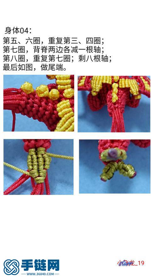 【原創(chuàng)】蠢萌蠢萌的小飛龍（反斜卷結(jié)）