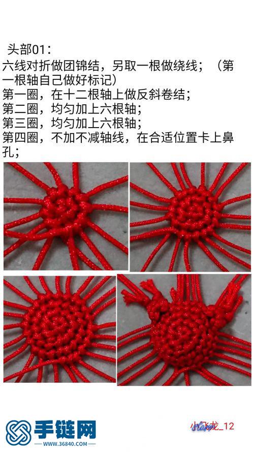 【原創(chuàng)】蠢萌蠢萌的小飛龍（反斜卷結(jié)）