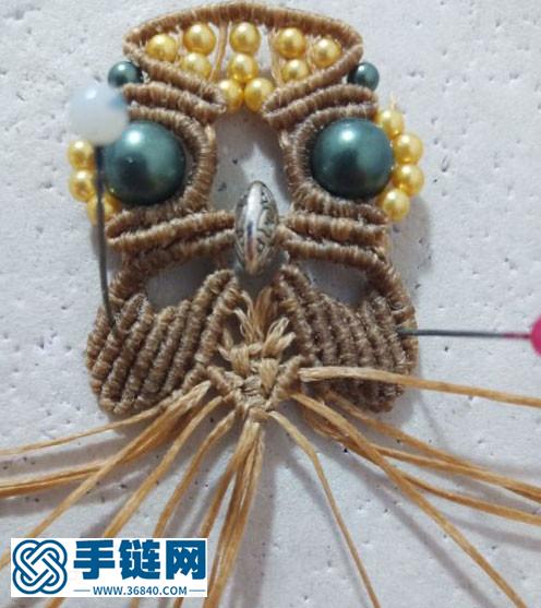 大眼萌萌噠貓頭鷹