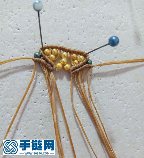 大眼萌萌噠貓頭鷹