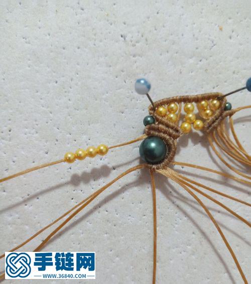 大眼萌萌噠貓頭鷹