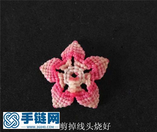 一朵漂亮的花