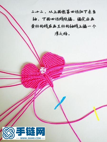 蝴蝶蘭
