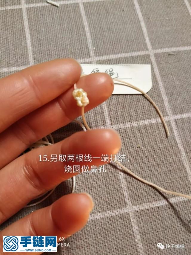 萌萌噠小豬教程