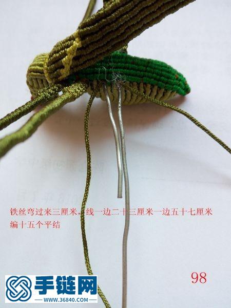 蟈蟈編法