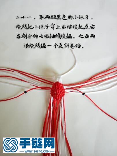紅色金剛鸚鵡鳥