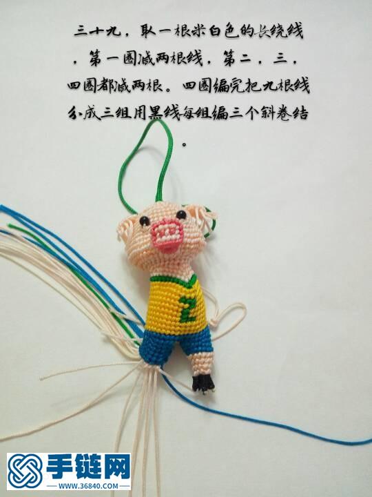 十二生肖之小豬