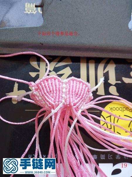 夏賞牽牛花
