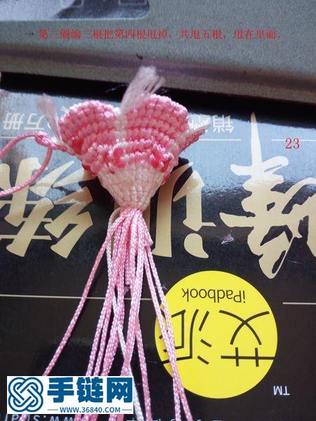 夏賞牽牛花