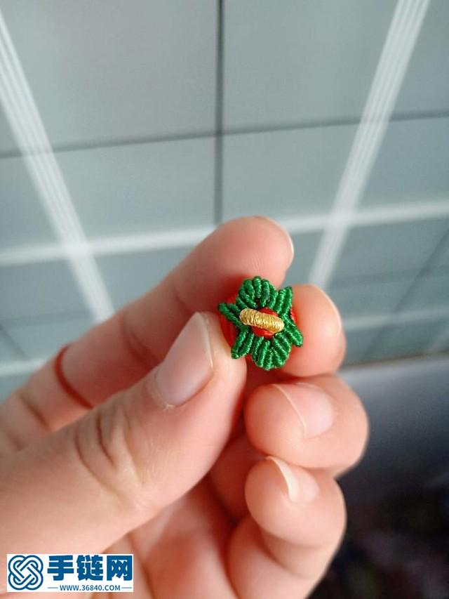 完整的小蘋果教程 