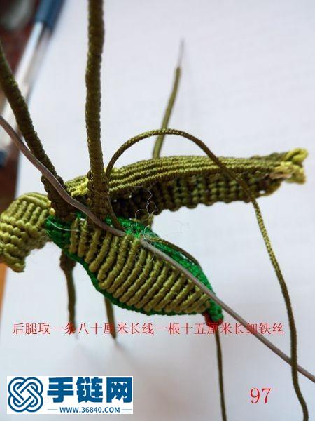 蟈蟈編法