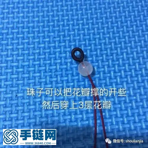 蓮花系列車飾
