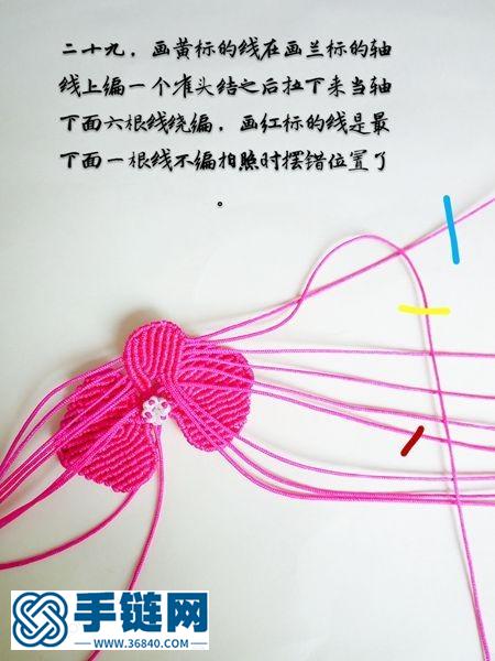 蝴蝶蘭