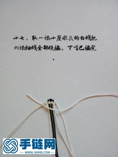 十二生肖之小狗