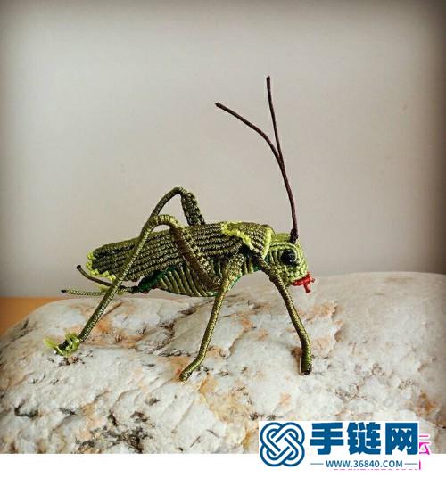 一步步教你繩編蟈蟈的超詳細編制教程