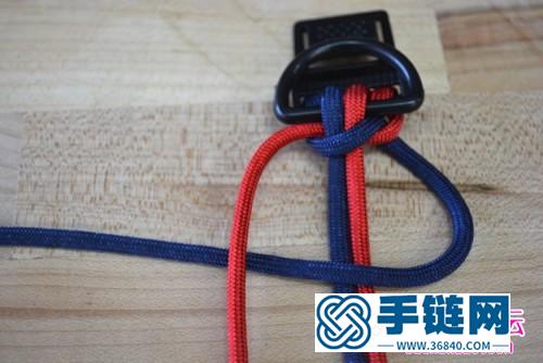 蛇結寵物犬項圈的詳細編制教程