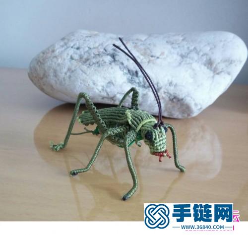 一步步教你繩編蟈蟈的超詳細編制教程