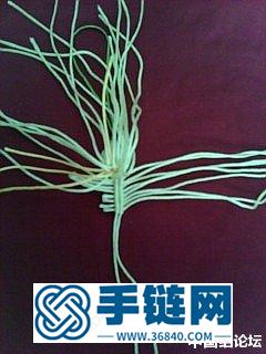 公園摘的小花的編法教程