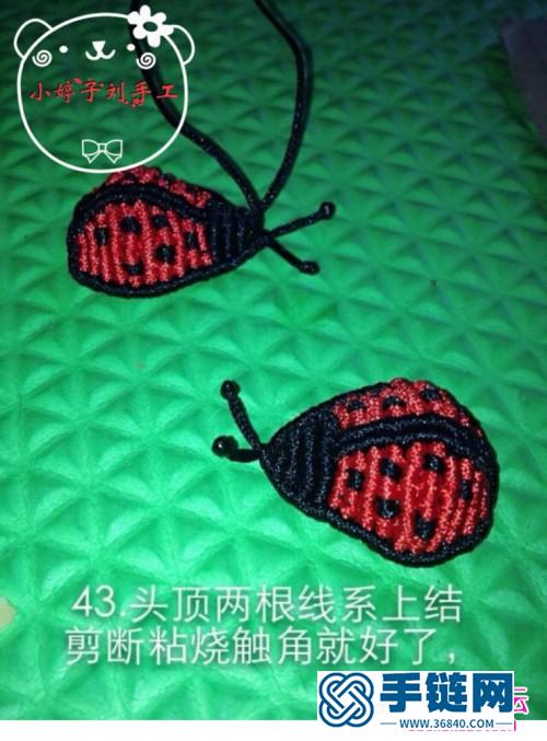 中國結小瓢蟲的編織方法