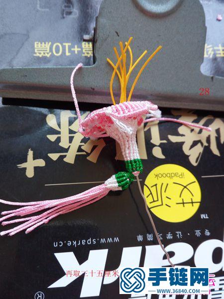 繩編包飾牽牛紅掛飾的詳細編制教程
