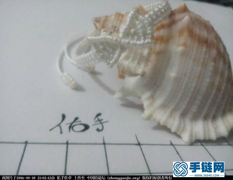 【小清新蝴蝶結】