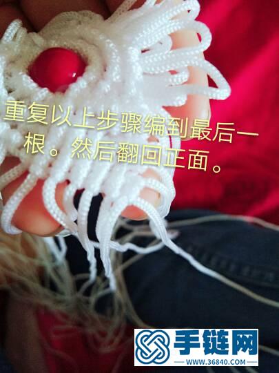 皺菊手鏈。菊花殘……