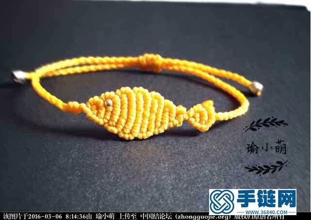一天到晚游泳的魚