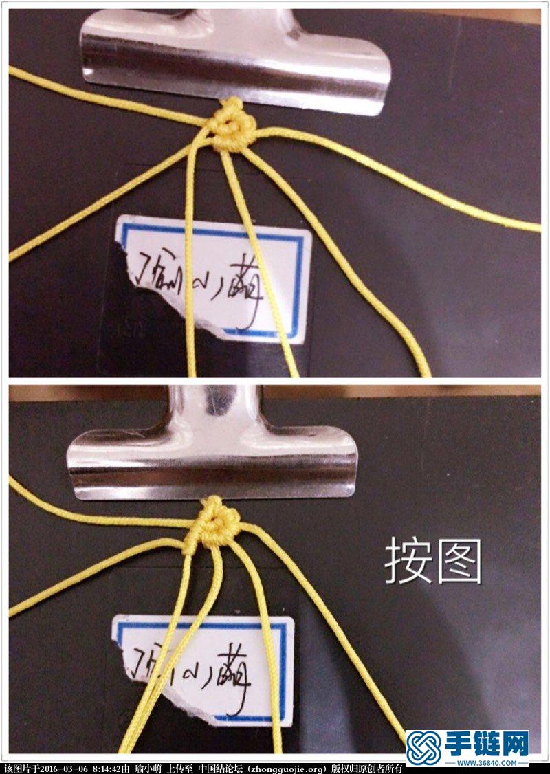 一天到晚游泳的魚