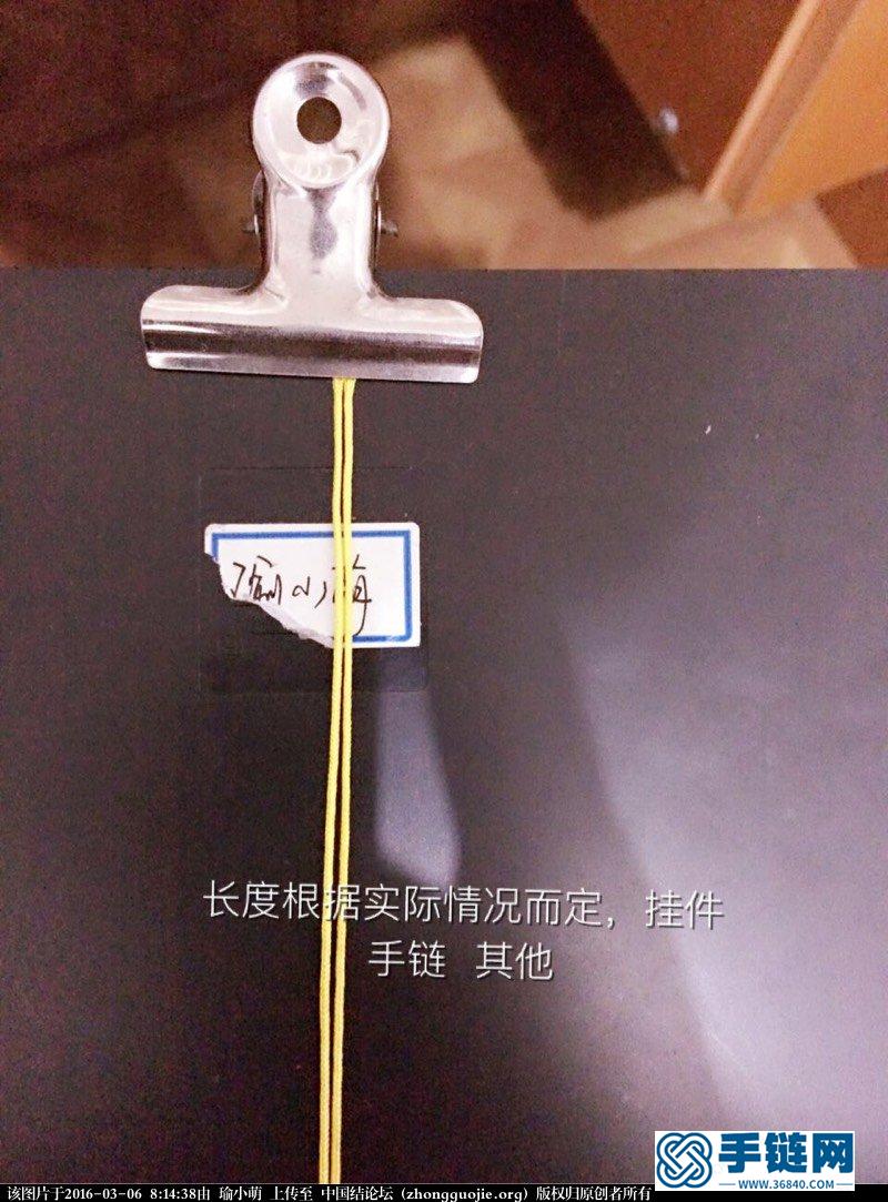 一天到晚游泳的魚