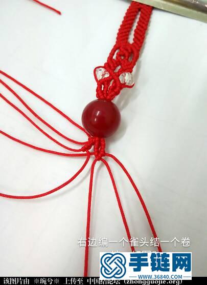 紅綠瑪瑙接吻魚教程