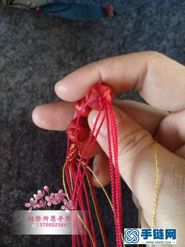 玉米綜合體