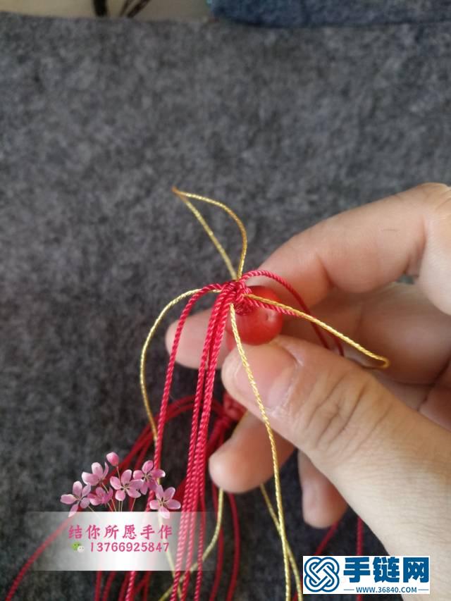 玉米綜合體