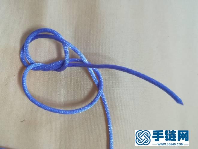 六耳疊翼太陽花及花股結變化