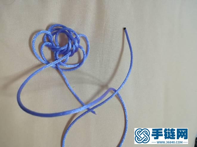 六耳疊翼太陽花及花股結變化