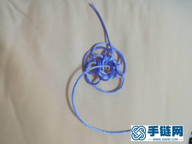 六耳疊翼太陽花及花股結變化