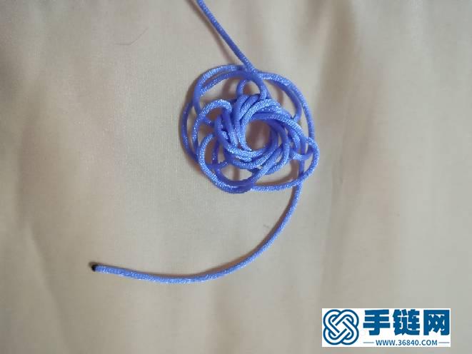六耳疊翼太陽花及花股結變化