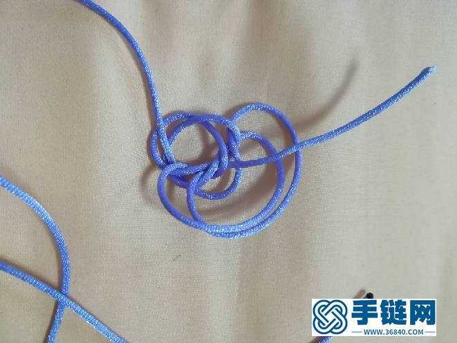 六耳疊翼太陽花及花股結變化