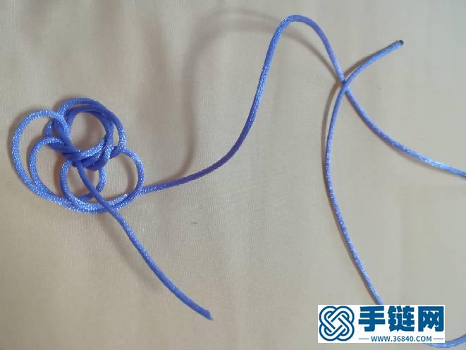 六耳疊翼太陽花及花股結變化