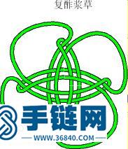 袈裟結、復酢漿草