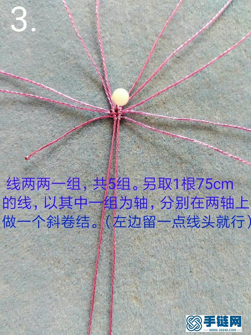 五瓣花花托教程編繩教程-完整編法步驟