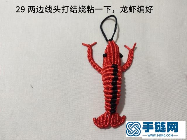 龍蝦編織教程圖解，教你如何編中國結小蝦做法